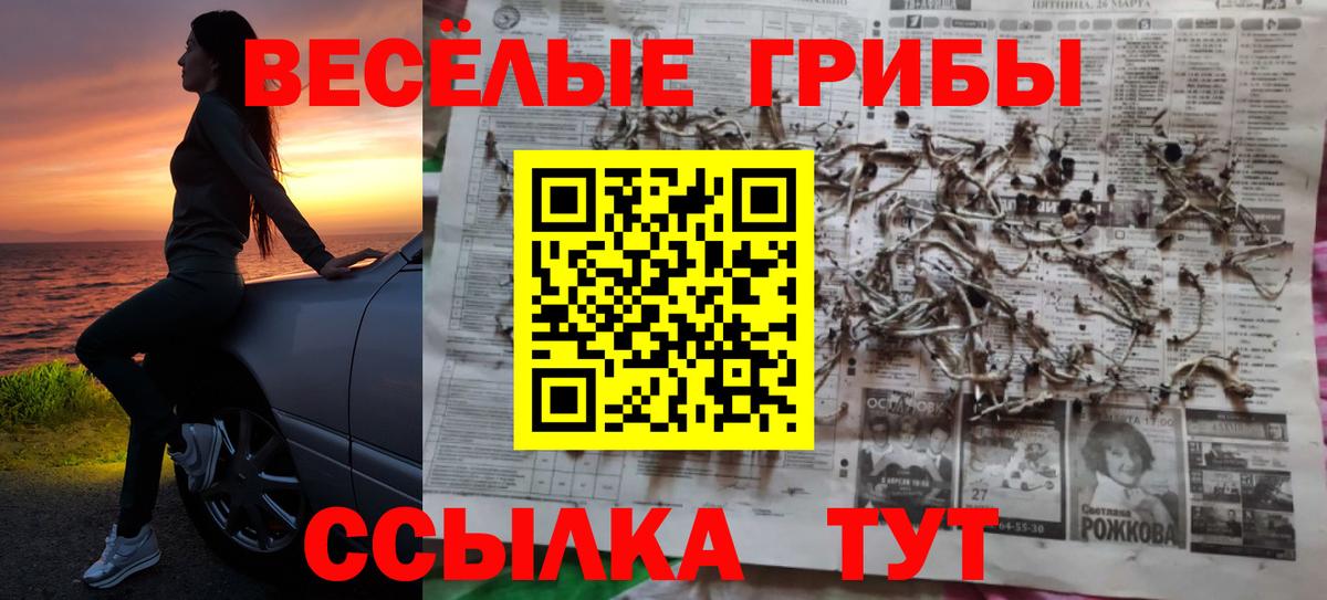 Гашиш  Экстази  МЕФ кристаллы  Зерноград  Вход с VPN 