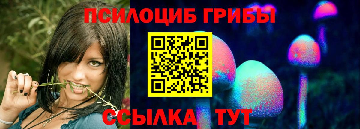 Галлюциногенные грибы прущие грибы  Вход с VPN  Псилоцибиновые грибы прущие грибы  Зерноград 